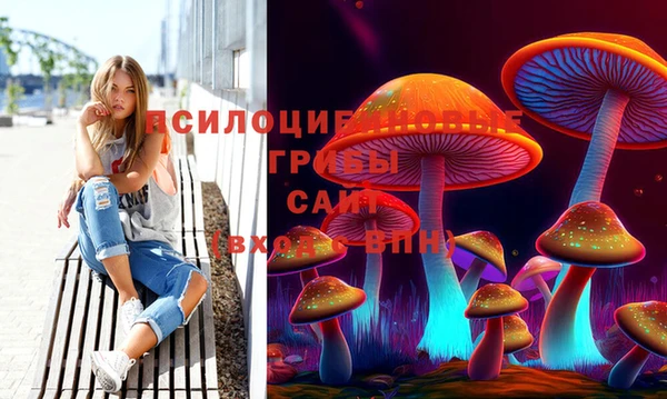 метадон Новозыбков