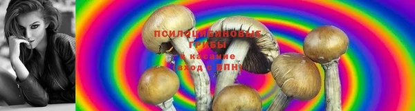 метадон Новозыбков